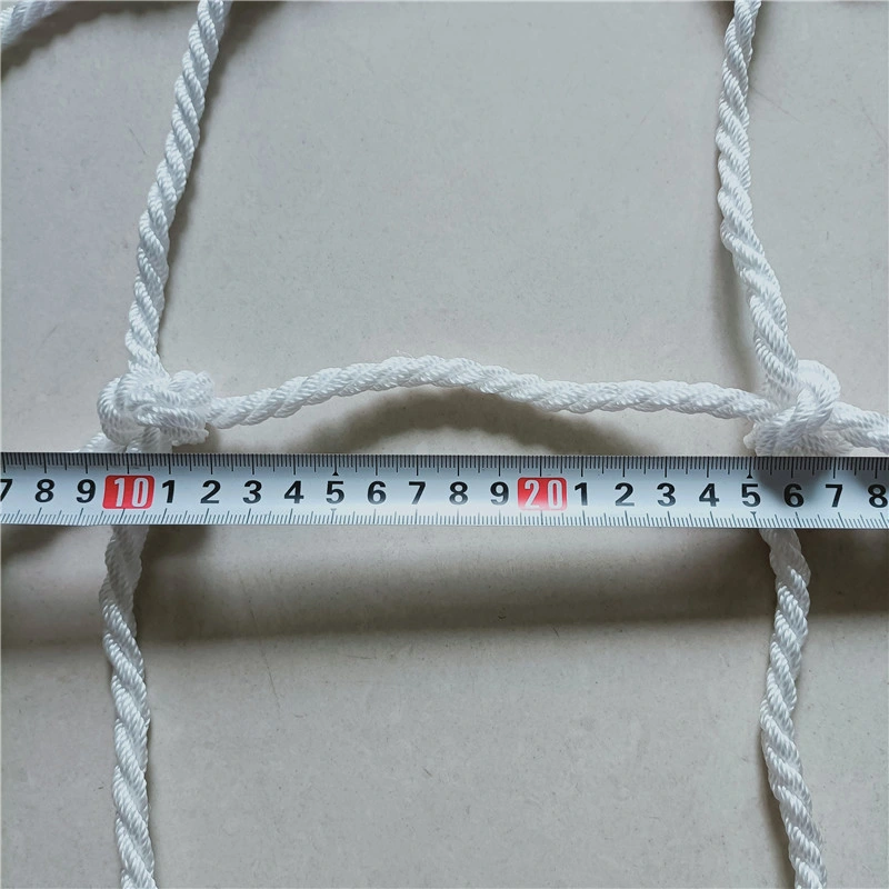 HDPE PP Polyester Cargo/Gangway/Debris/Building Construction Anti Falling Safety Catch/Climbing/Protection Net